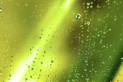 Close up of water droplets on glass with blurred out green background.
