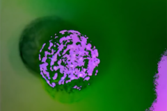Abstract image of mottled bright purple globe against a green background.
