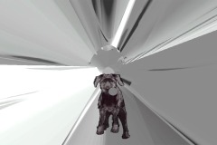 Cut out image of a black dog stands looking at the camera straight on. An abstract tunnel-like convergence of grey lines recedes into the background behind the dog.