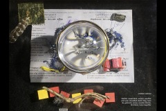 Image of a sculptural assemblage. untitled - cabinet. feather, metal label, weather and wear shredded plastic bag, twist tie, galimoto, screw, wood bloacks, bird talon sit scattered and overlapping on a black surface. A glass and metal loop magnifier sits on top in the centre of the frame.