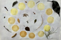 Jenn Pearson, The 33rd Garden. 12 circles in various shades of yellow and sepia form a larger circle. Inside and around this larger circle are placed dark leaves, a catkin and strands of grass. The background is a light purple watercolour wash.
