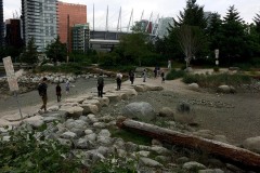 A group of people walk in a line across stepping stones on a rocky shoreline at False Creek in Vancouver. Highrise condo buildings and the roof of BC Place stadium is in the background and a log lies on the ground in the foreground.